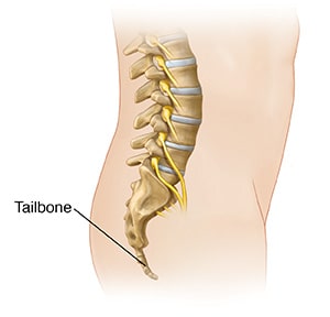 TAIL BONE-min