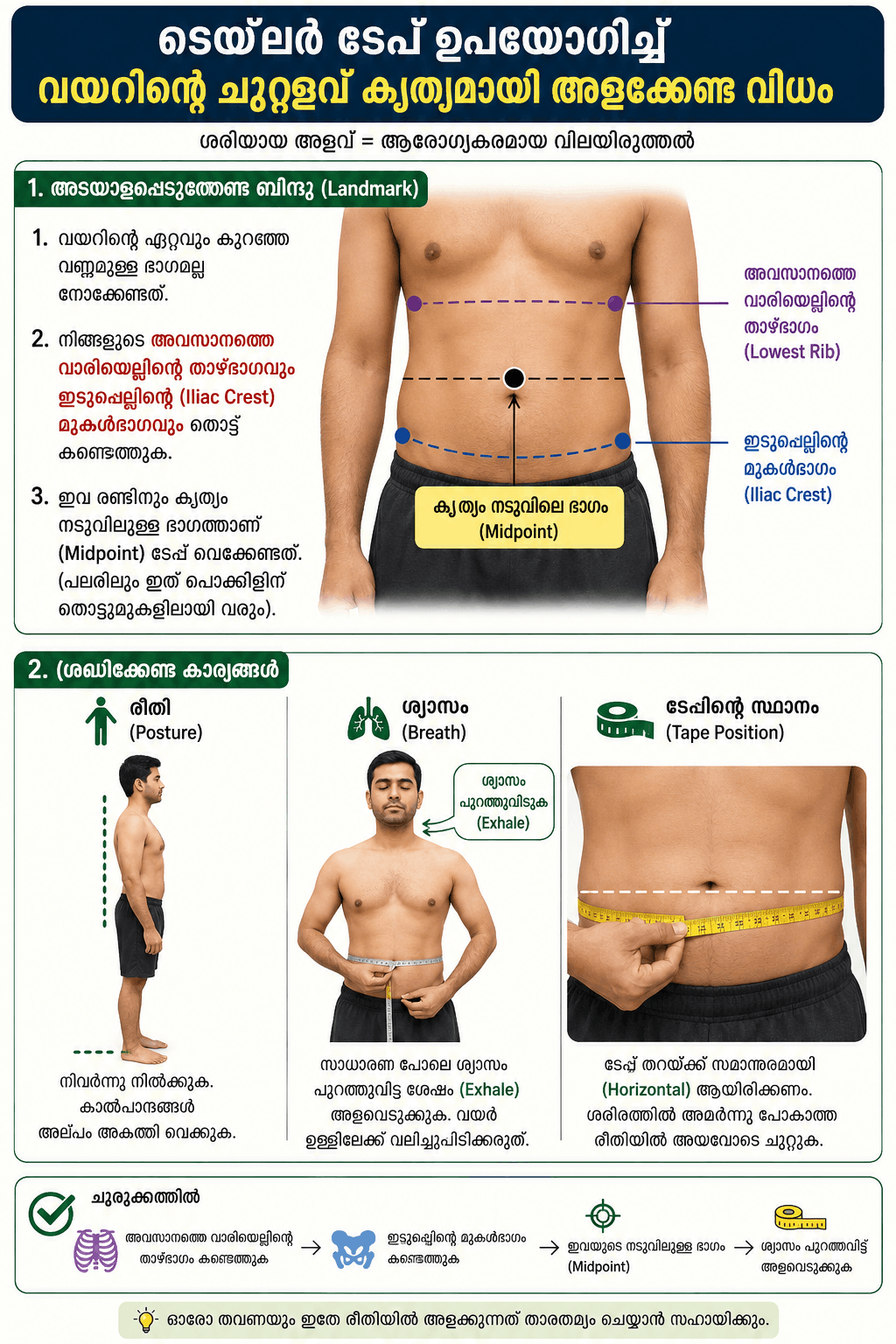 How to measure waist circumference correctly for belly fat loss infographic in Malayalam