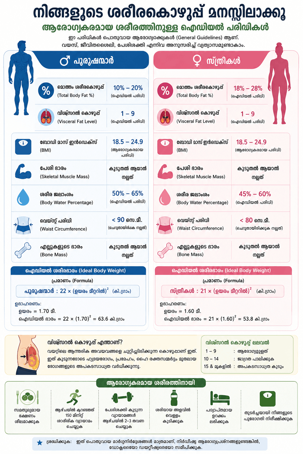 Body fat parameters and body composition measurement chart for weight loss tracking. belly fat loss.